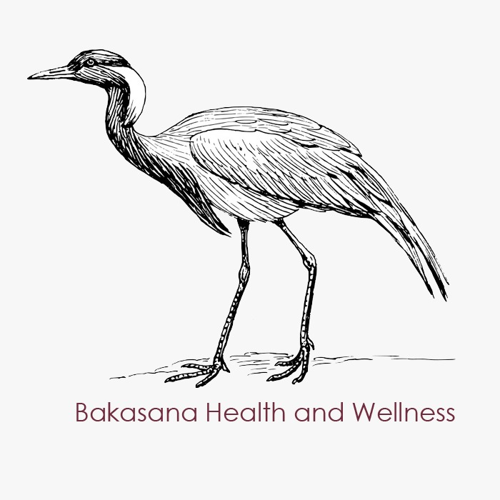 Bakasana Coaching logo